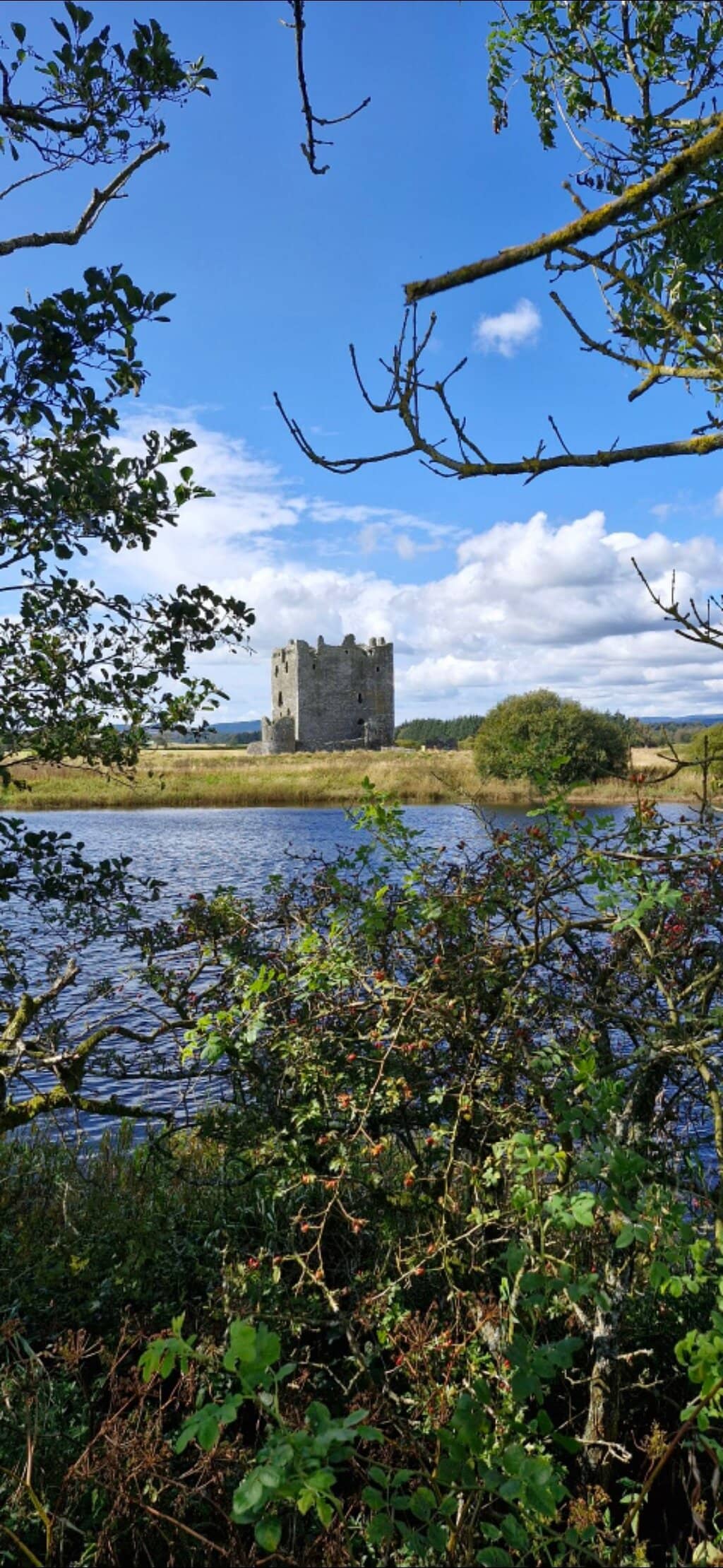 Nature Reserve Walks