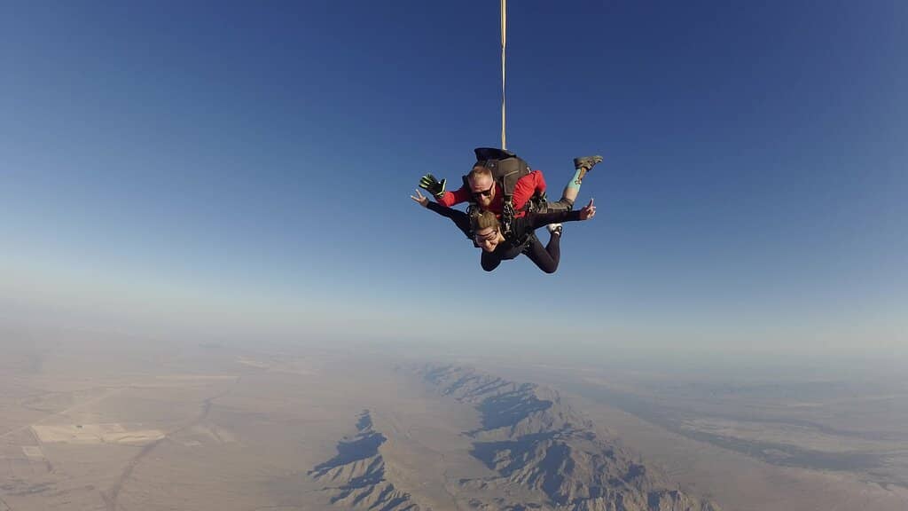 Professional & Friendly Staff