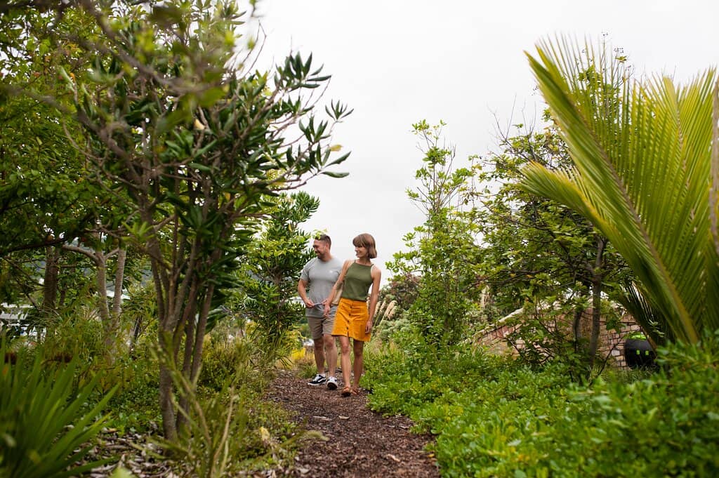 Hundertwasser's Visionary Architecture