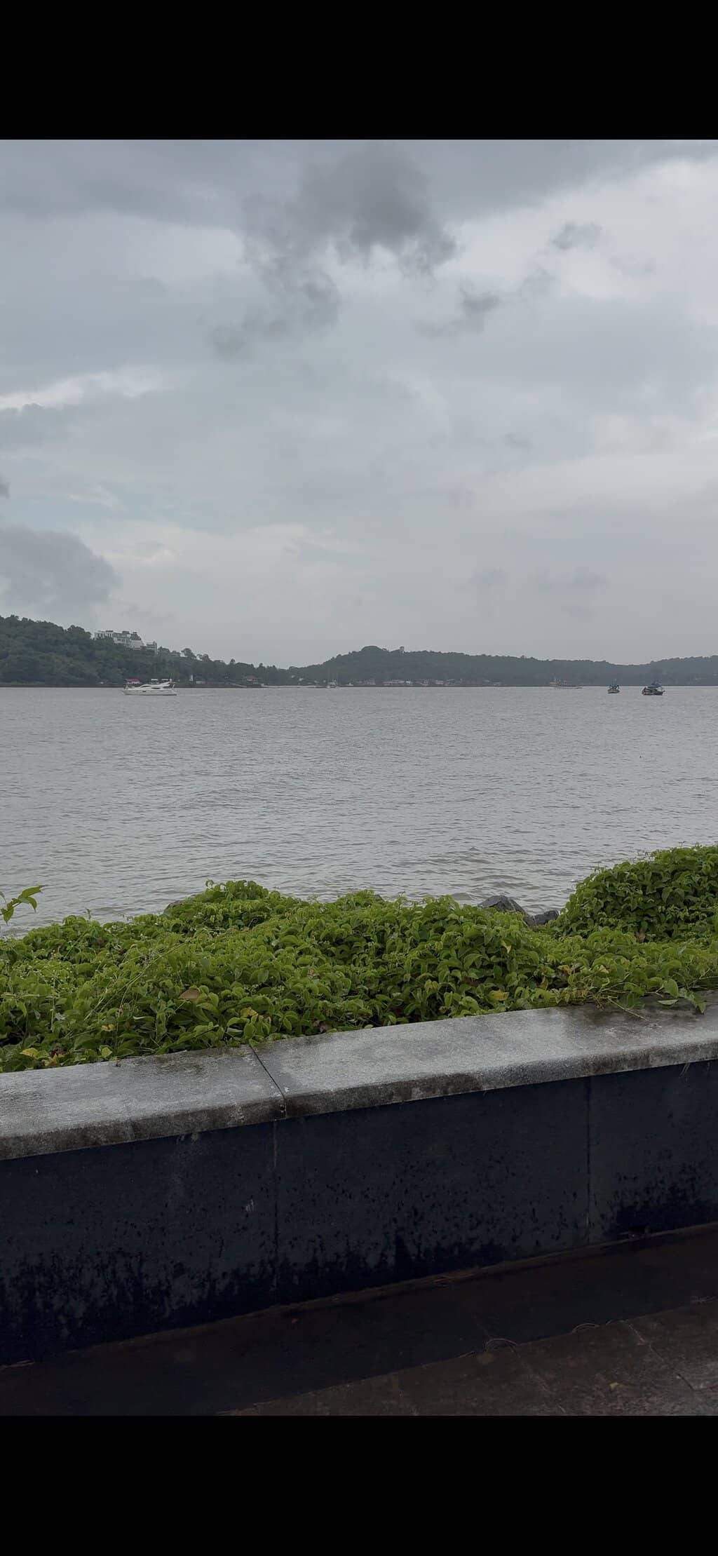 Exhibitions & Festivals