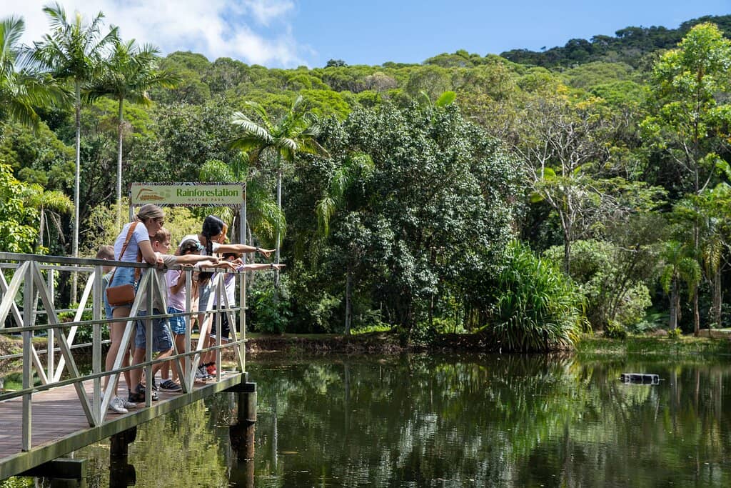 Army Duck Rainforest Tour