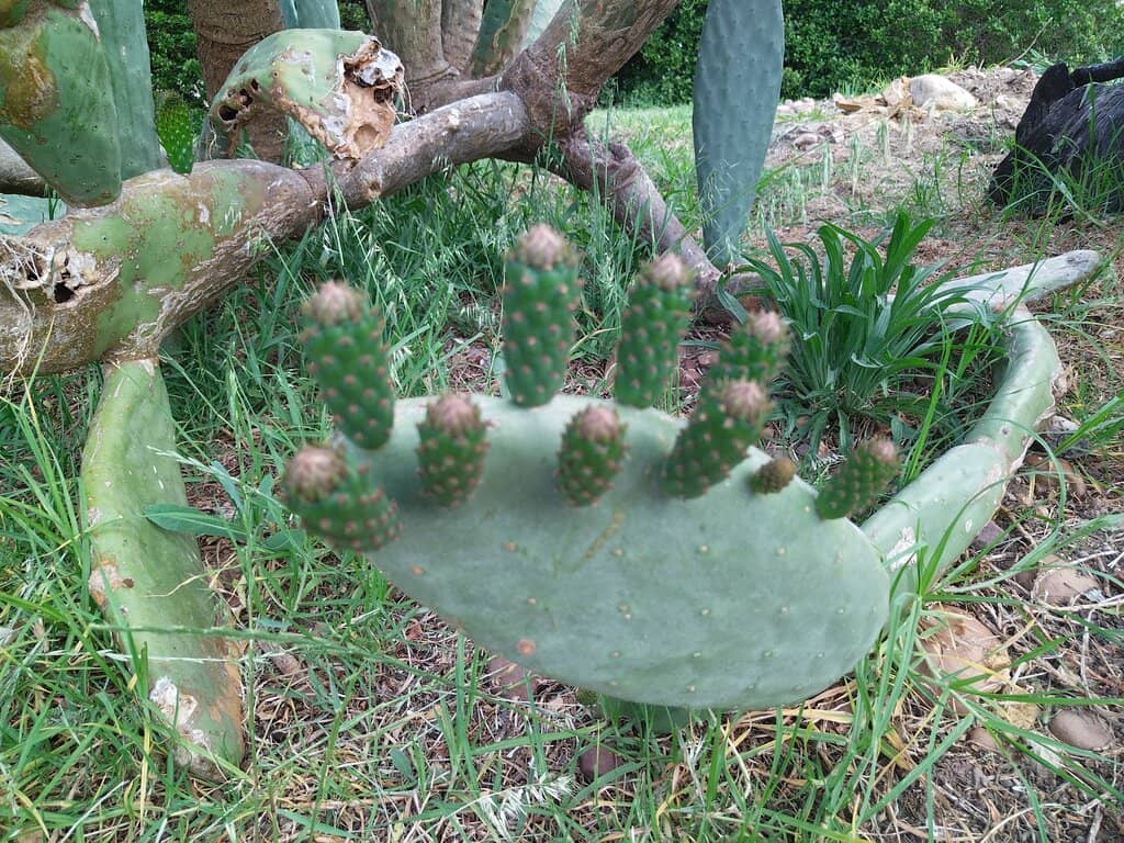 Picturesque Estate Views