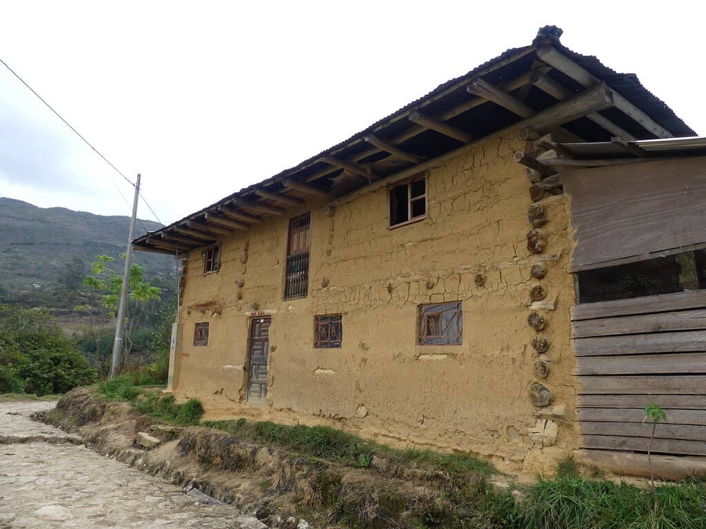 Vibrant Wall Paintings