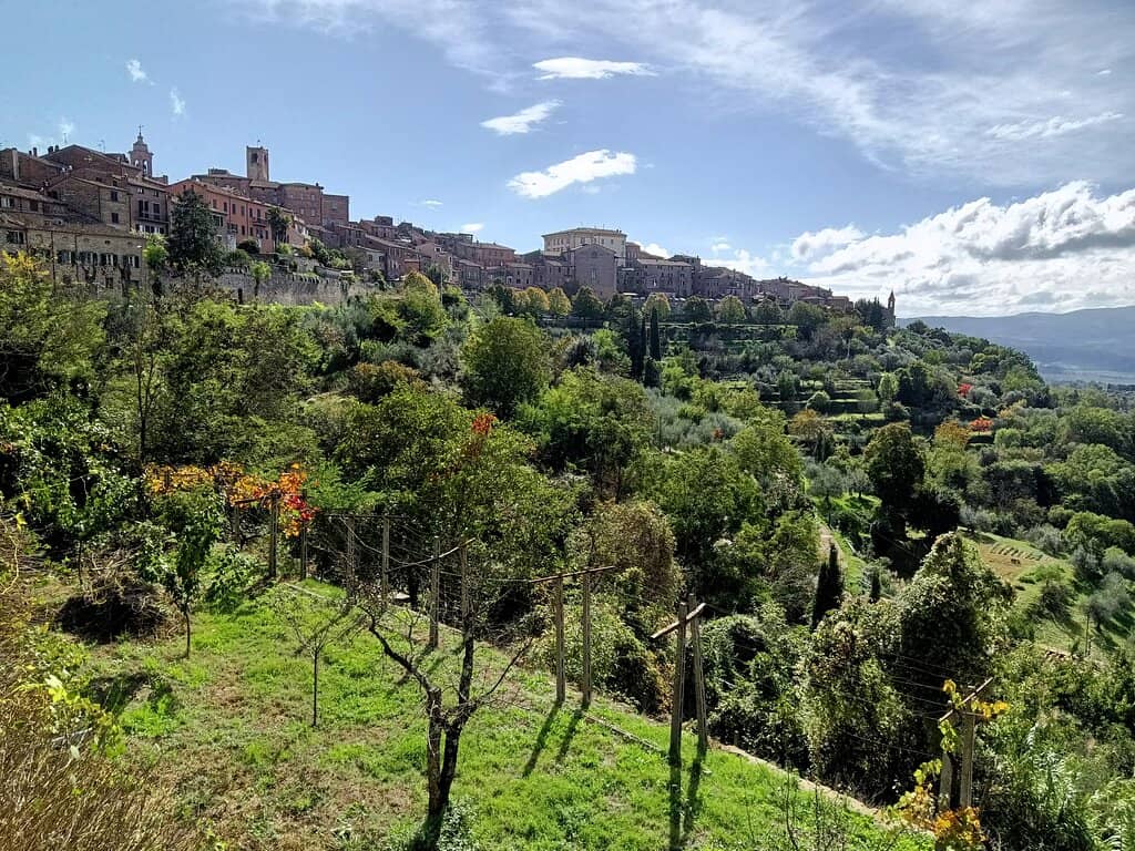 Pomarancio Decorations