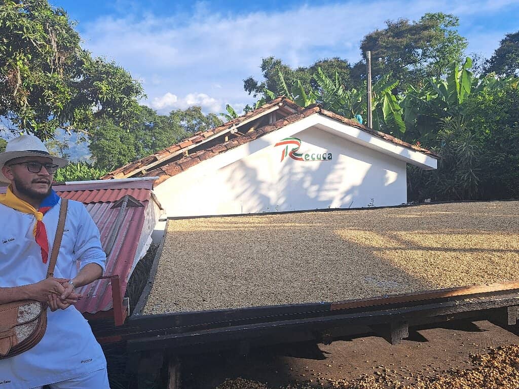 Interactive Cultural Immersion