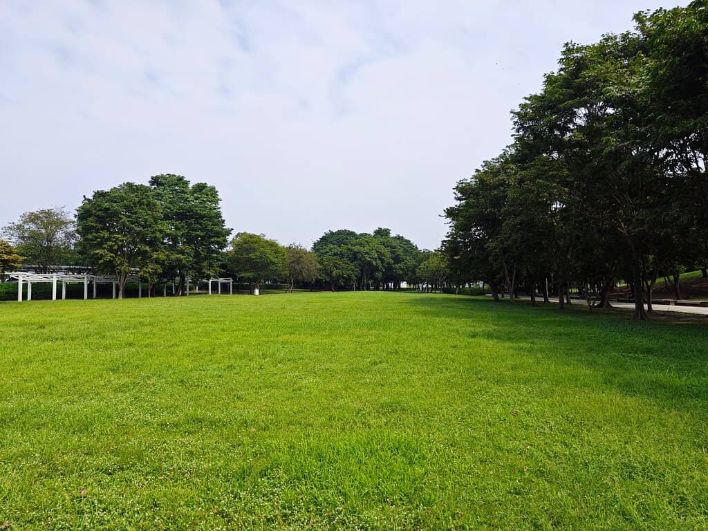 Family Fun Playground