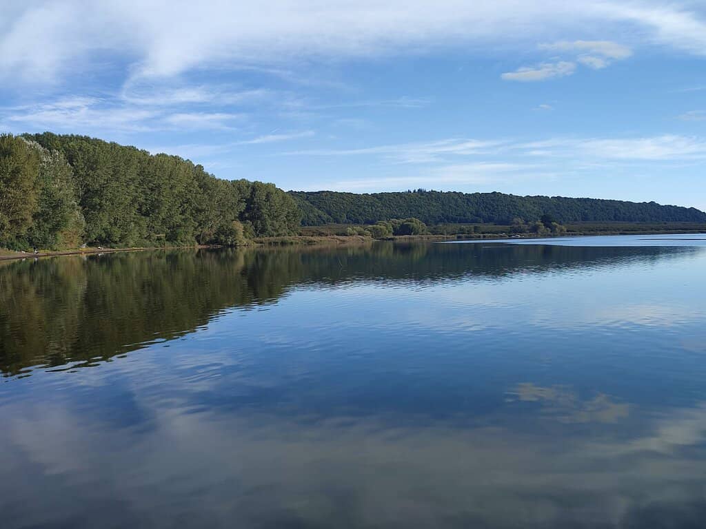 Tranquil Lake Beaches