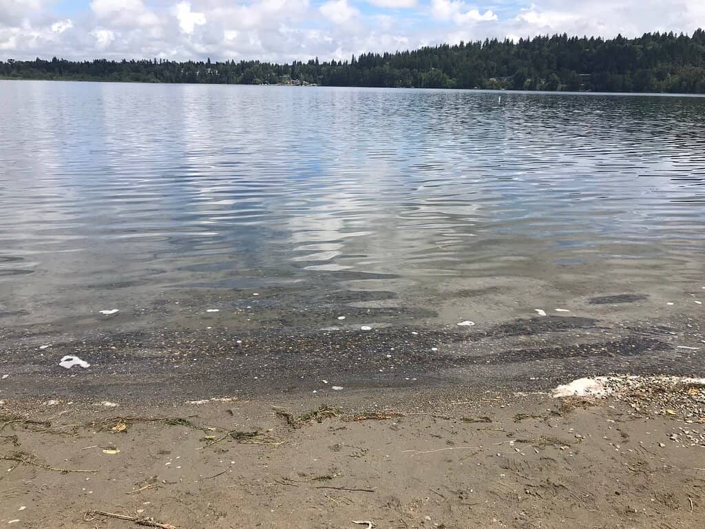 Lake Sammamish Access