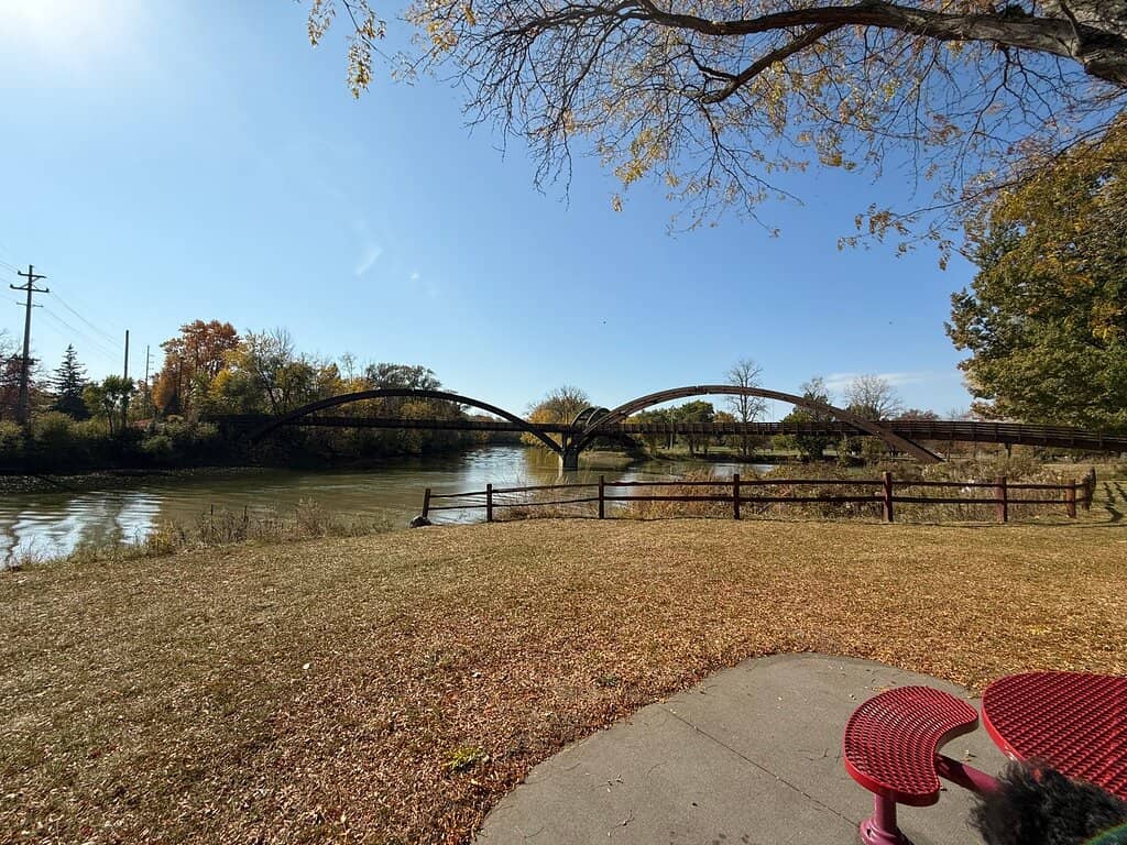 Midland City Forest Views