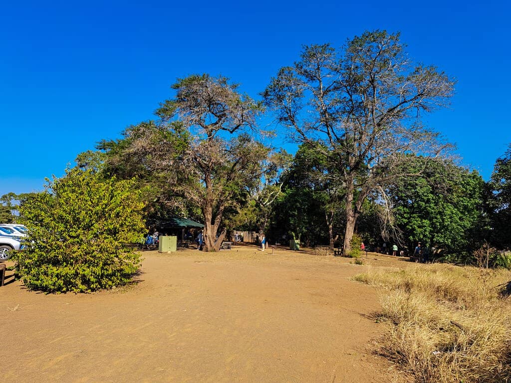 Relaxing Under the Trees