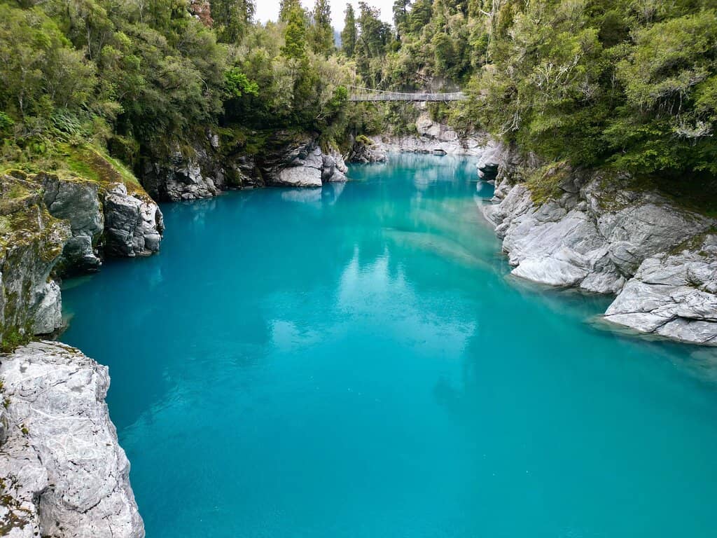 Jurassic Park-like Rainforest