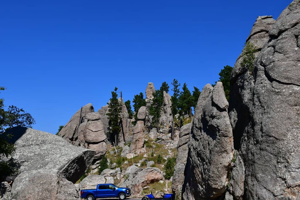 Scenic Needles Highway Drive