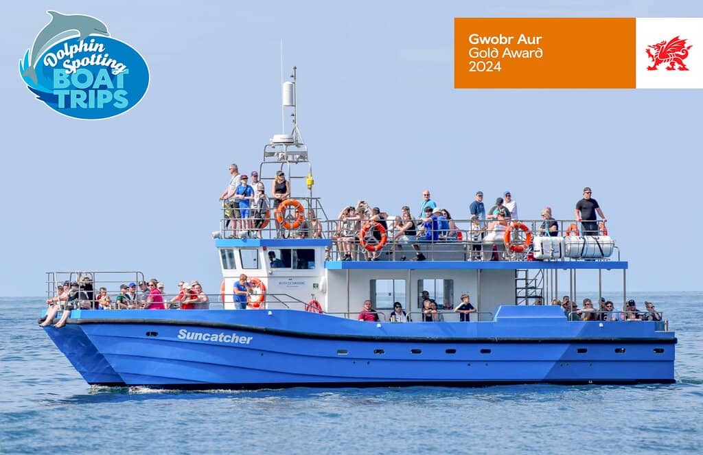 Scenic Coastal Views