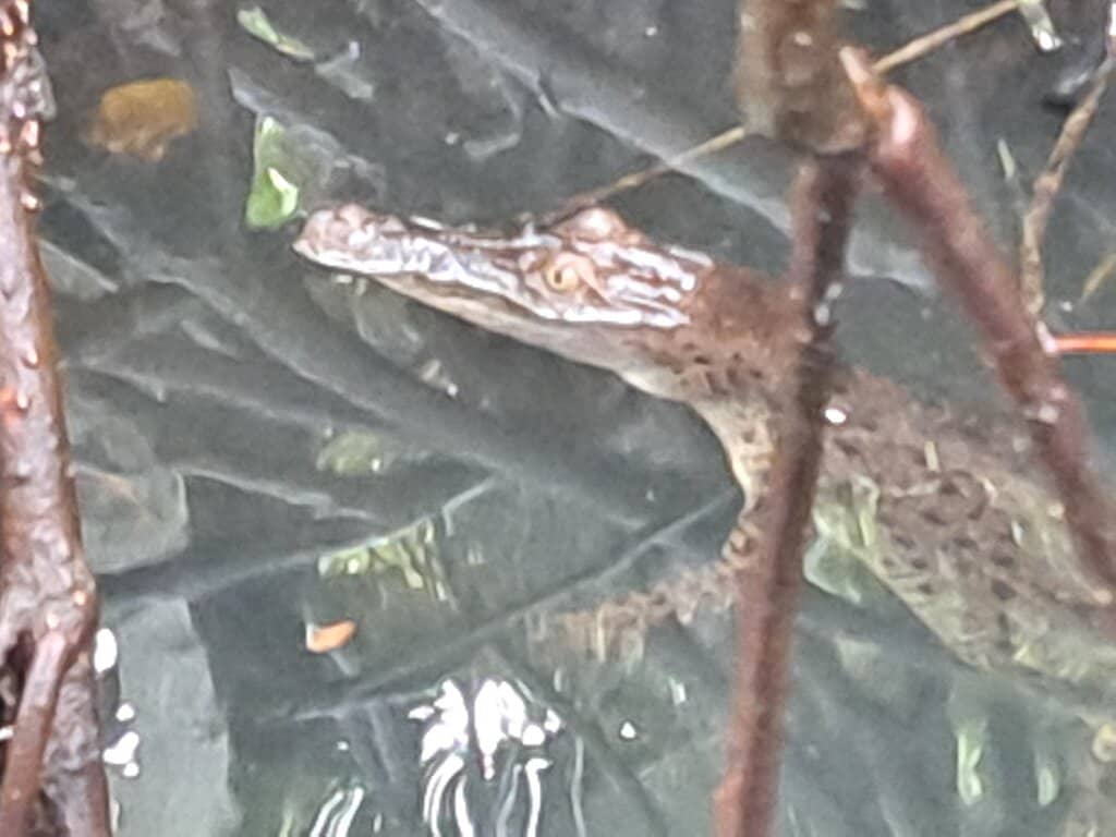 Historic Kechimalai Mosque
