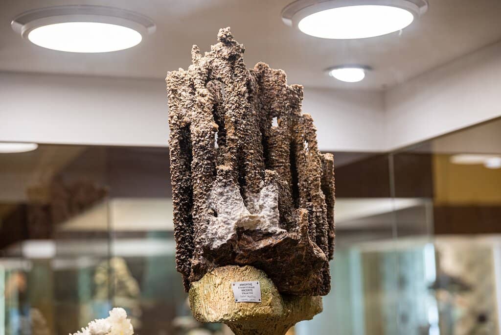 Handmade Jewelry & Souvenirs