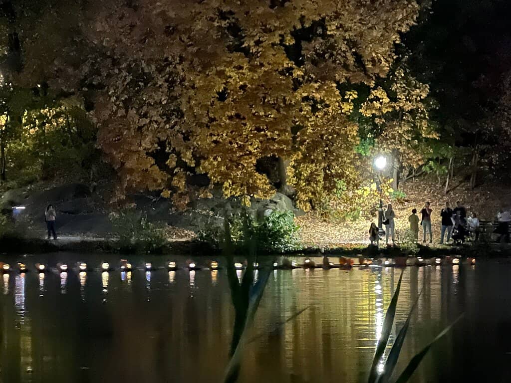 Picturesque Lake Views