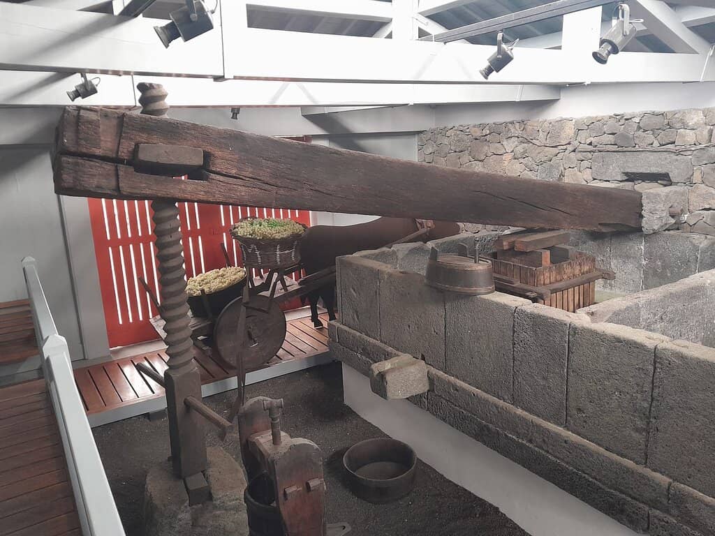 The Volcanic Vineyards (Currais)