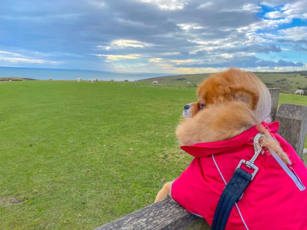 Seven Sisters Circular Hike