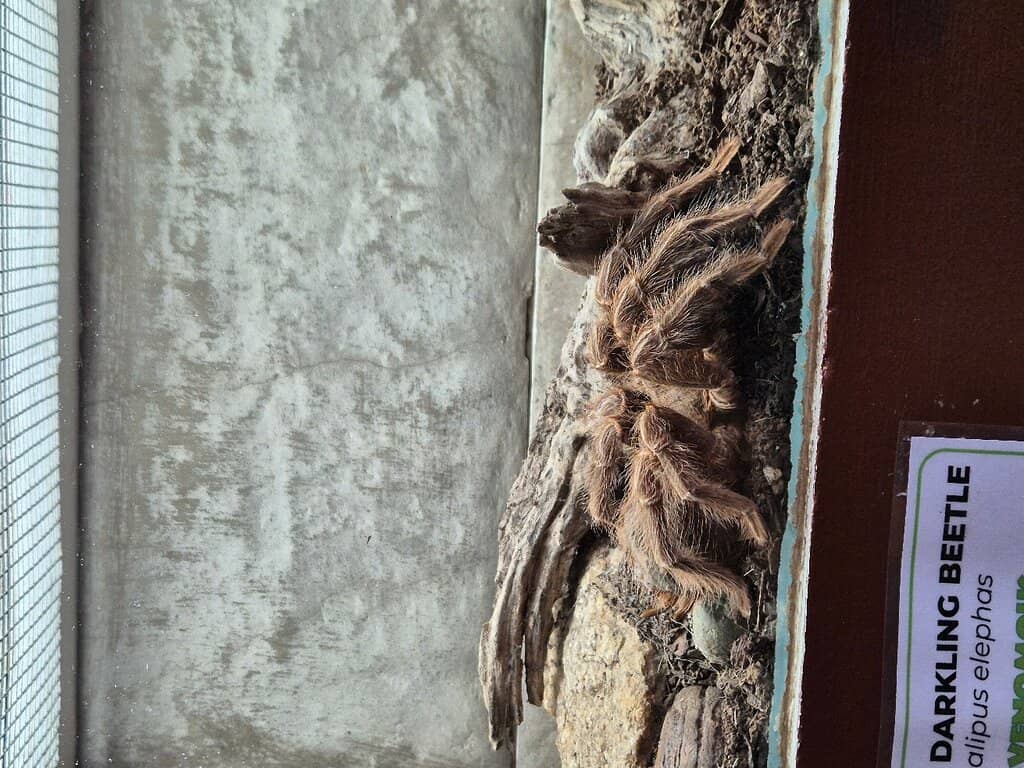 Interactive Feeding Sessions