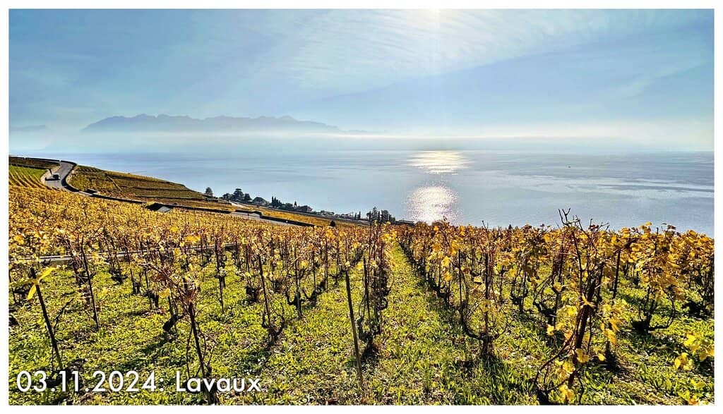 Panoramic Lake Geneva Views