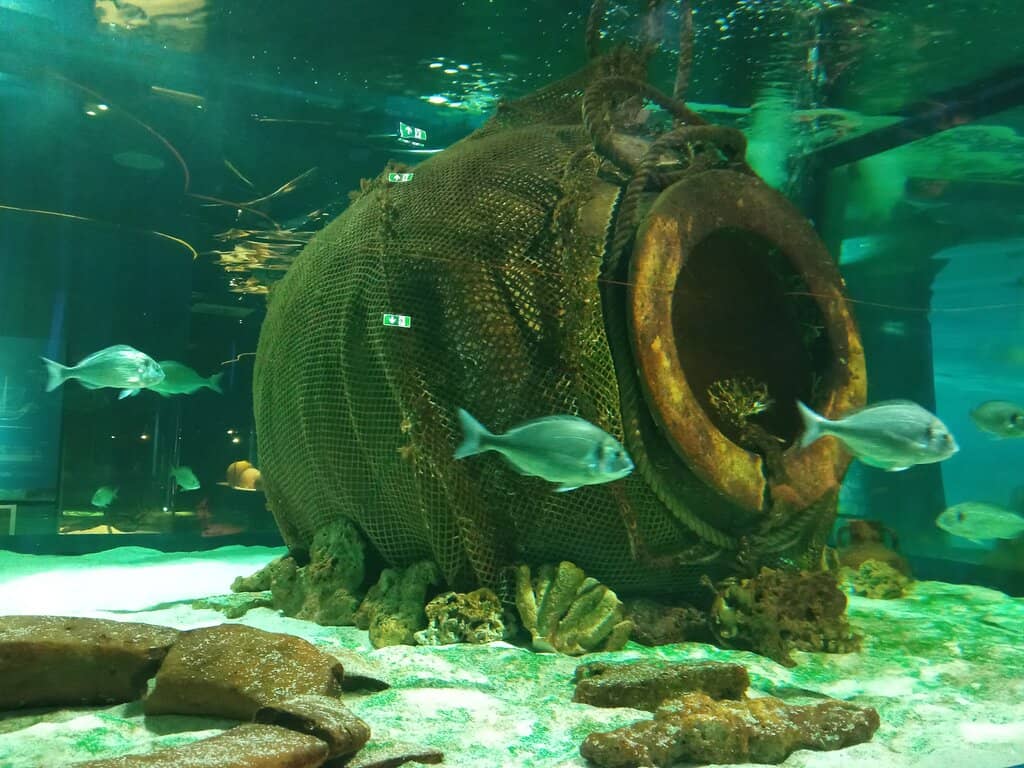 The Ancient City Ruins