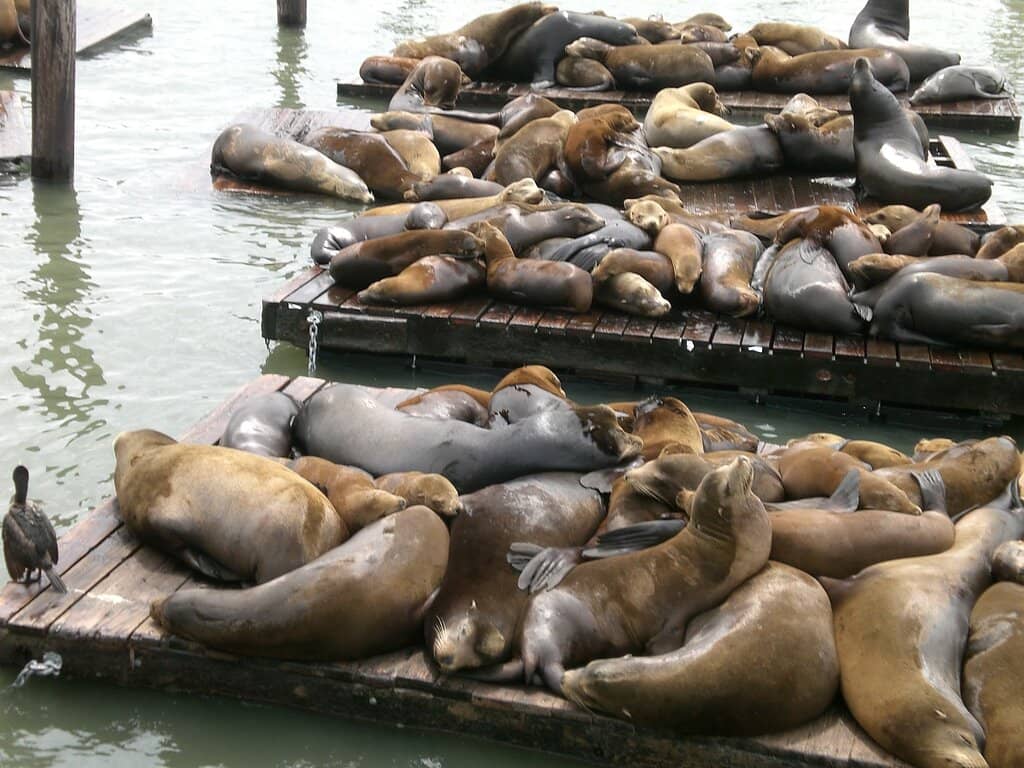 Educational Insights