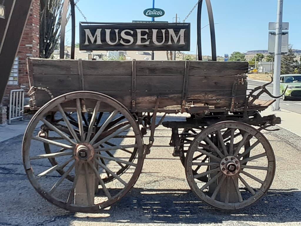 Flora and Fauna Exhibits