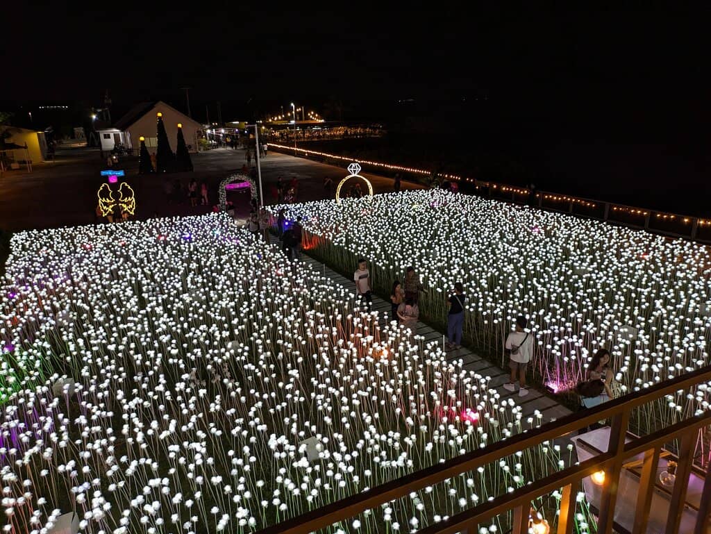 The Enchanting Rose Garden