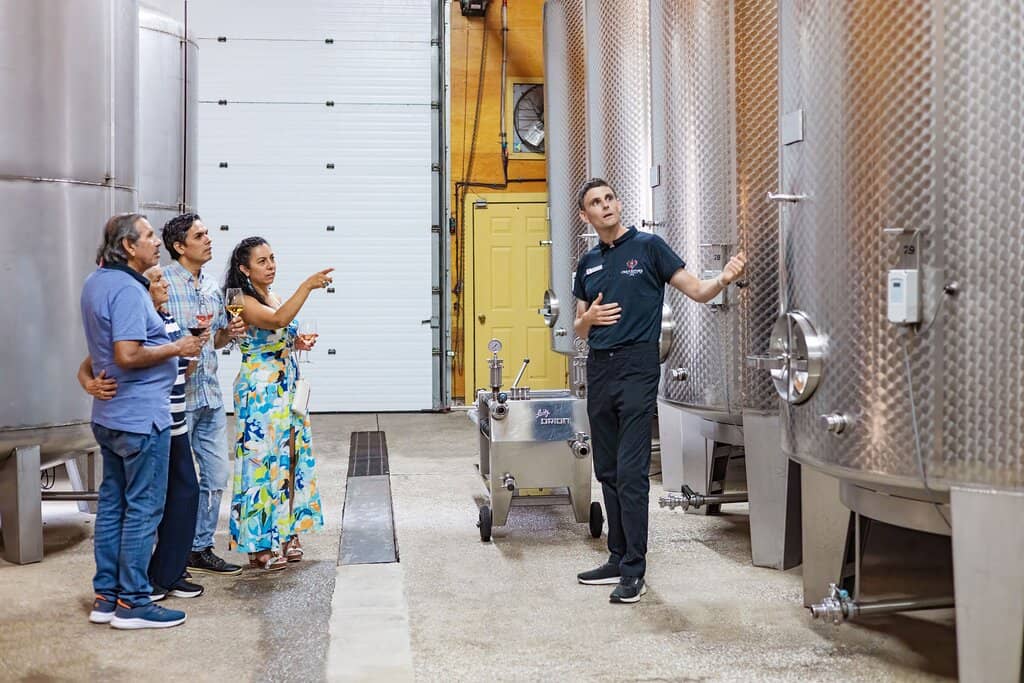 Wine Tasting & Flights