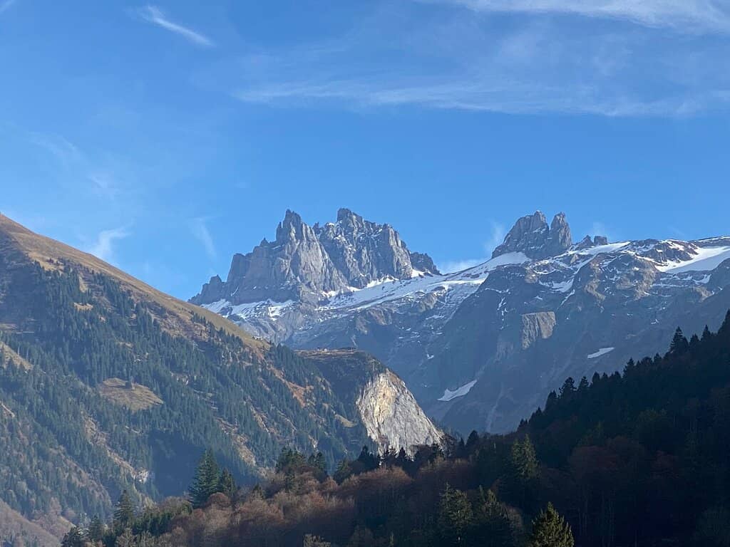 Vertical photo