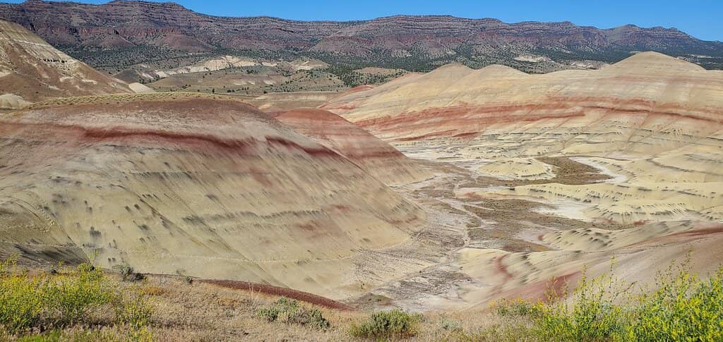 Painted Hills Overlook