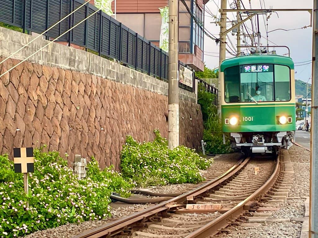 Surfers and Ocean Views