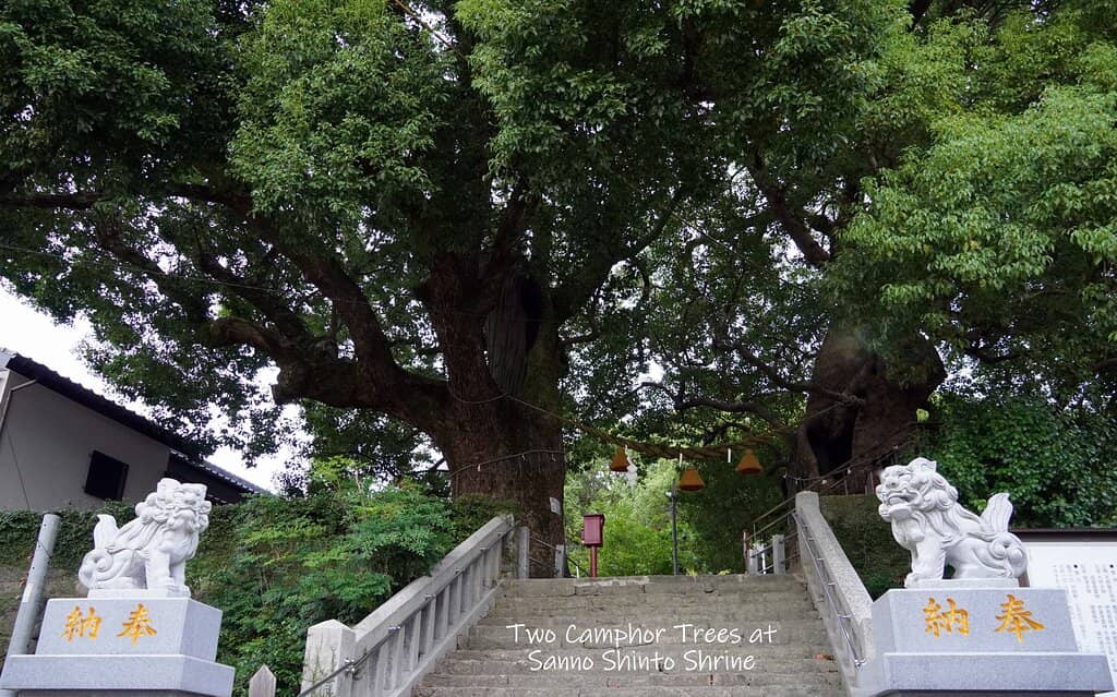 The One-Legged Torii Gate