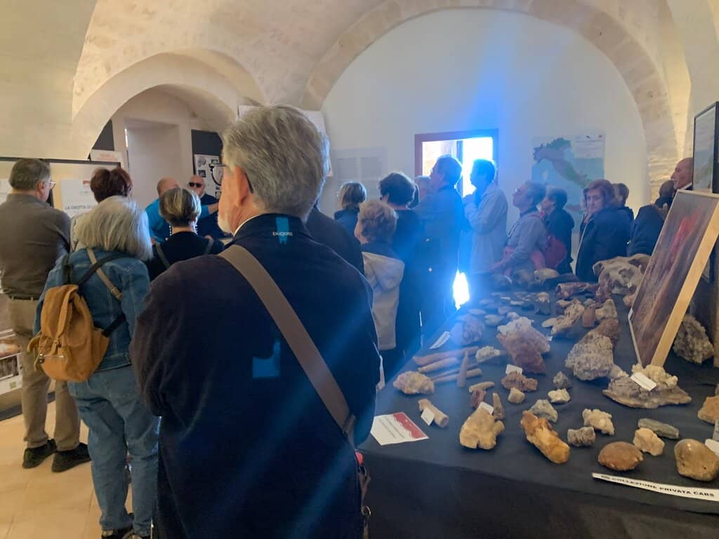 Archaeologist's Insight