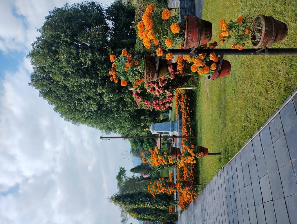 Honey Collection Diorama