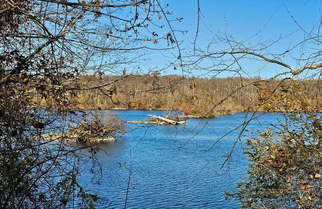 Scenic Riverside Walk