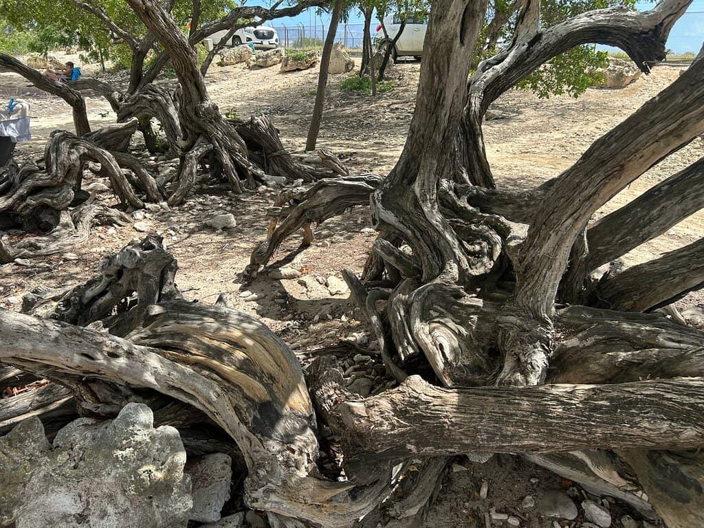 Sandy Beach Comfort