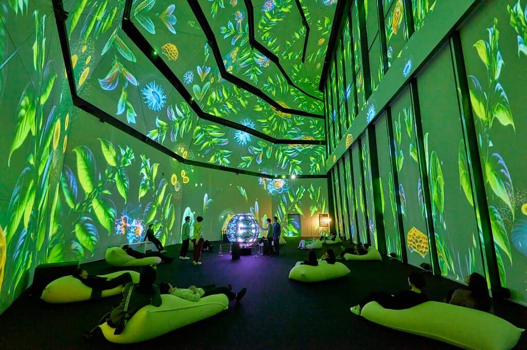 Panoramic City Views