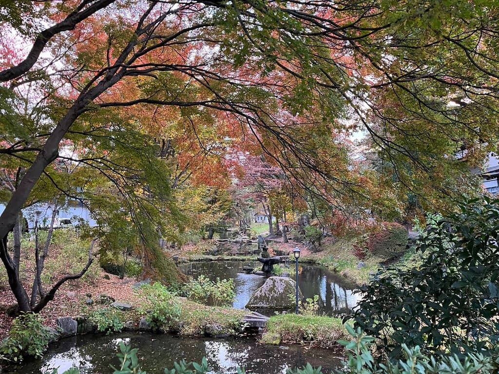 Ishiwarizakura (Rock-Splitting Cherry Tree)