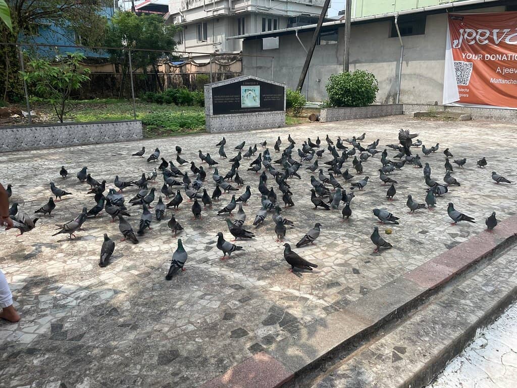 Intricate Jain Architecture