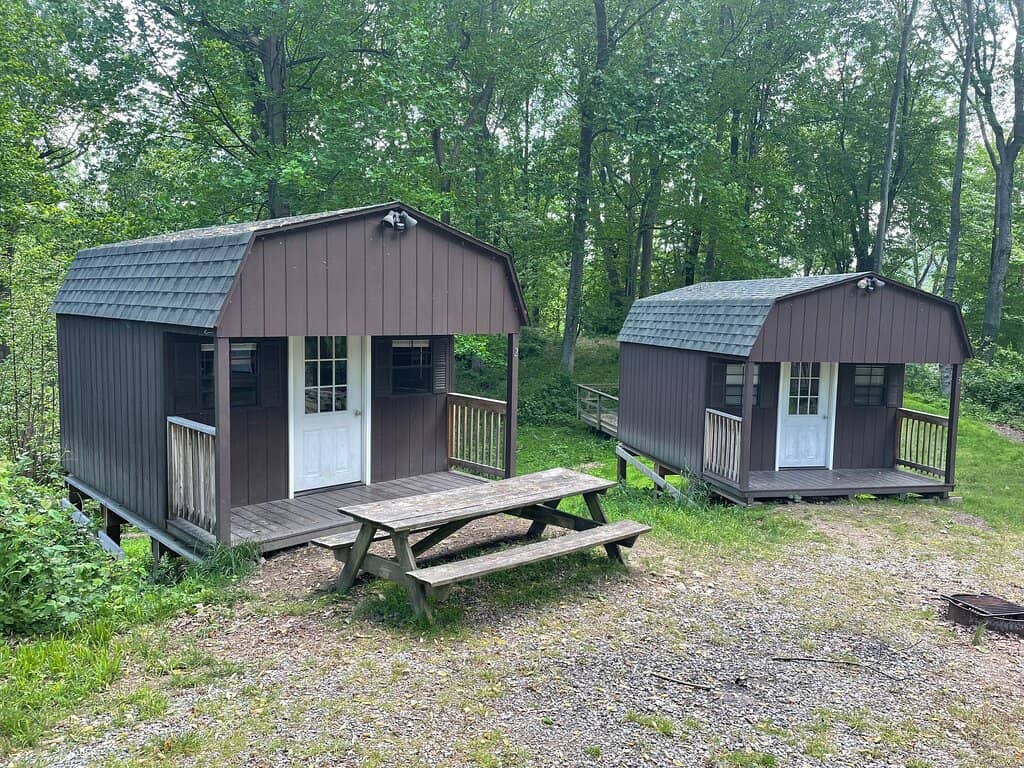 Family & Dog-Friendly Atmosphere