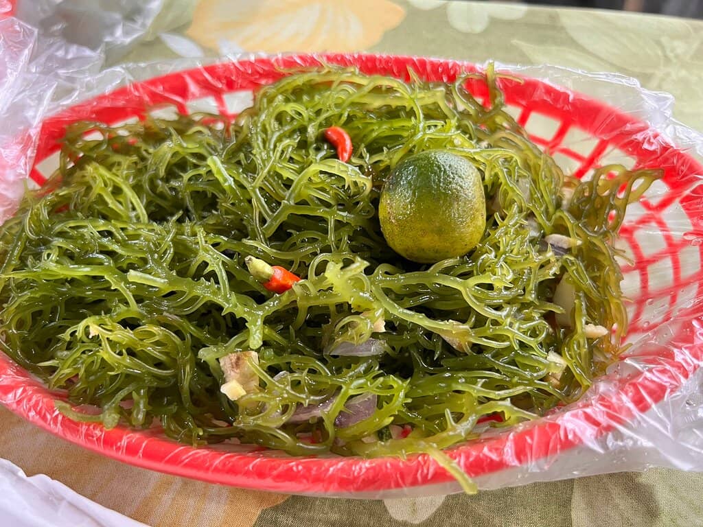 Budget-Friendly Finds