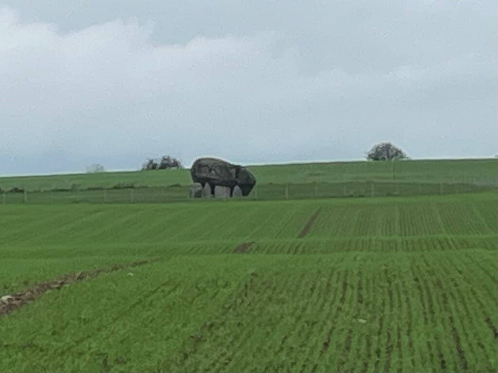 Scenic Walk to the Site