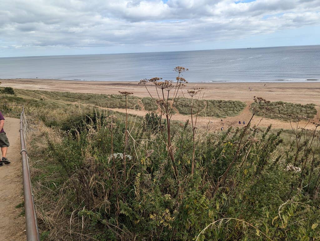 Rocky Outcrops and Caves