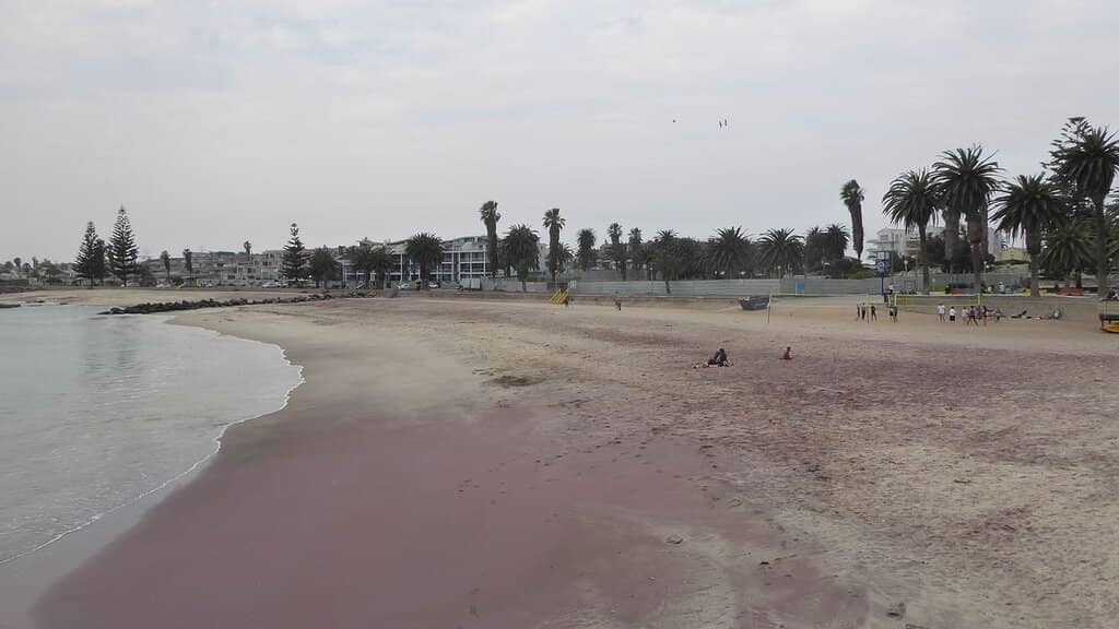 Beachfront Relaxation