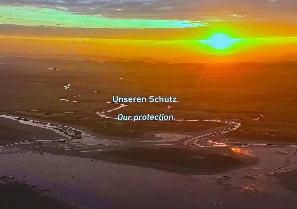 Local Flora and Fauna