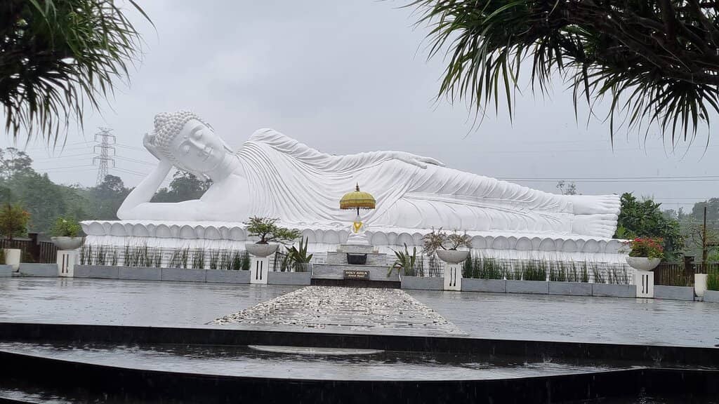 Barongsai Performances