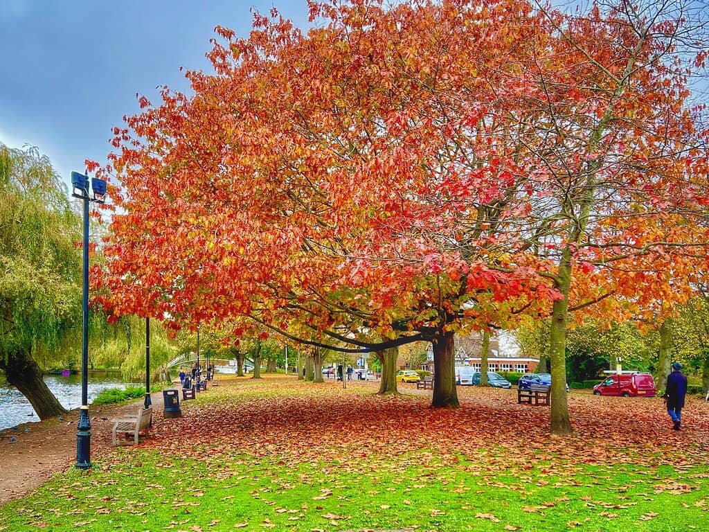 Accessible Playground