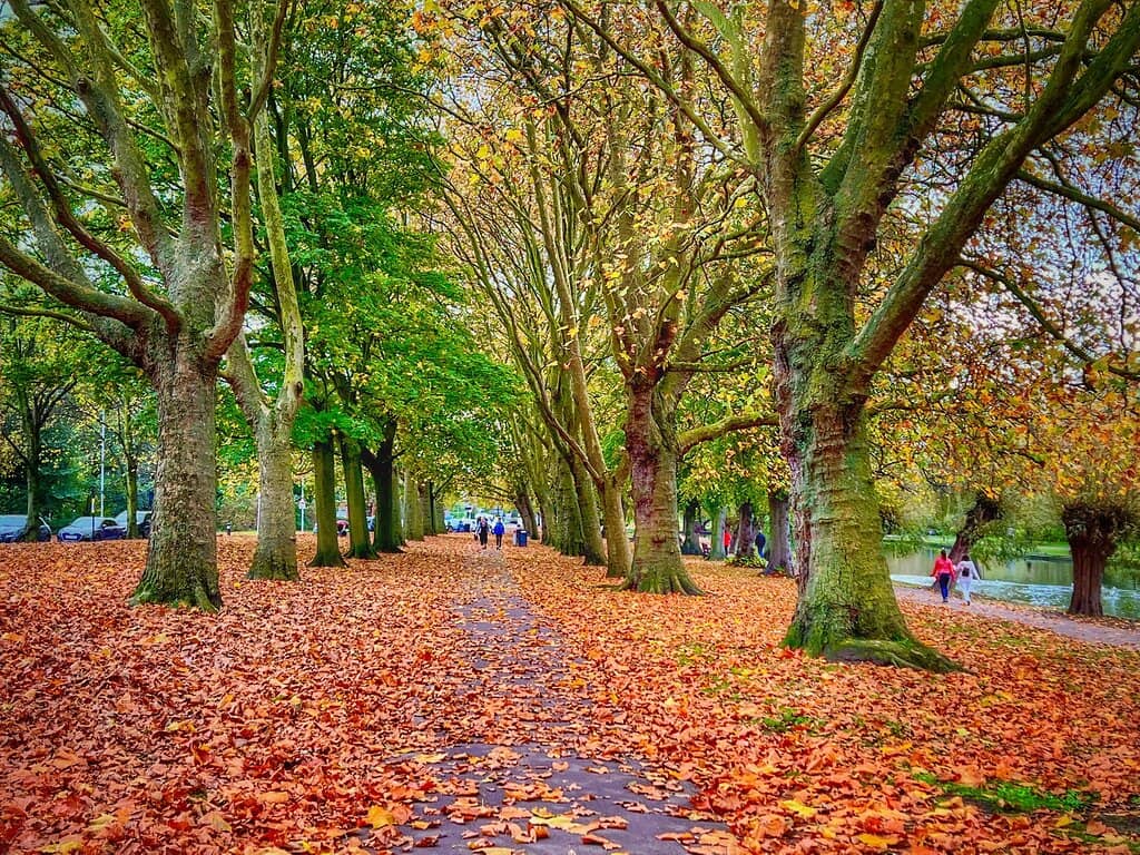 Embankment & Boating Lake