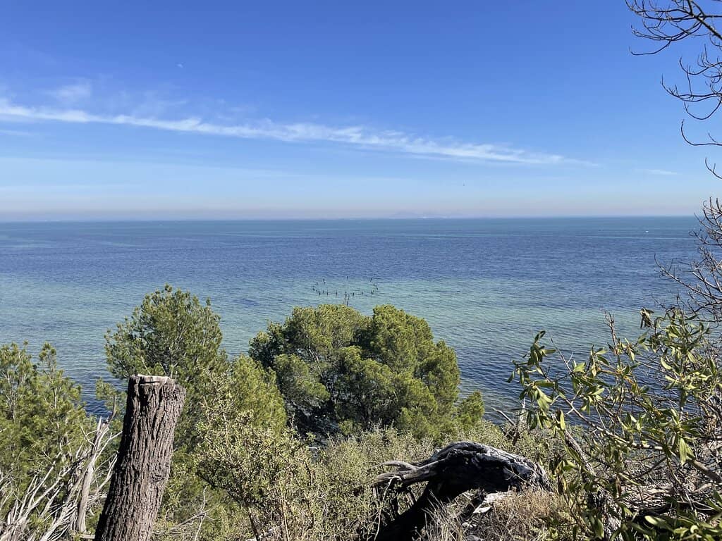 The Dell Natural Amphitheatre